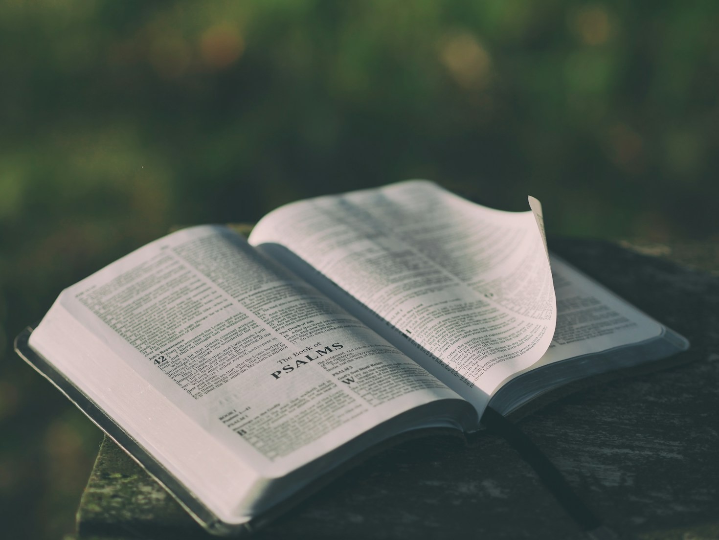 Conseils pour une lecture réfléchie des prophéties bibliques